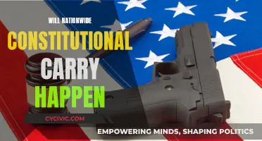 Constitutional Carry: Nationwide Implementation and its Future