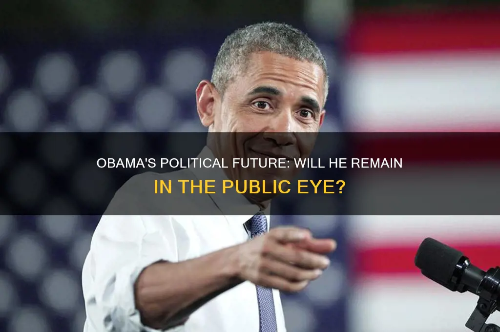 will obama stay in politics