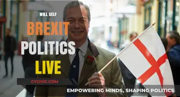 Will Self's Brexit Politics: A Live Analysis of Britain's Future