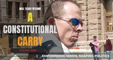 Texas Constitutional Carry: What's Next for Gun Laws?