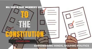 Amending the Constitution: Future Changes?