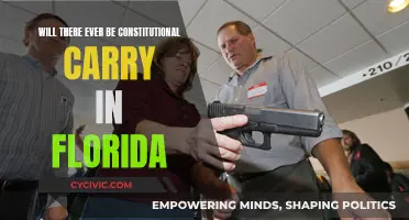Florida's Future: Could Constitutional Carry Become a Reality?