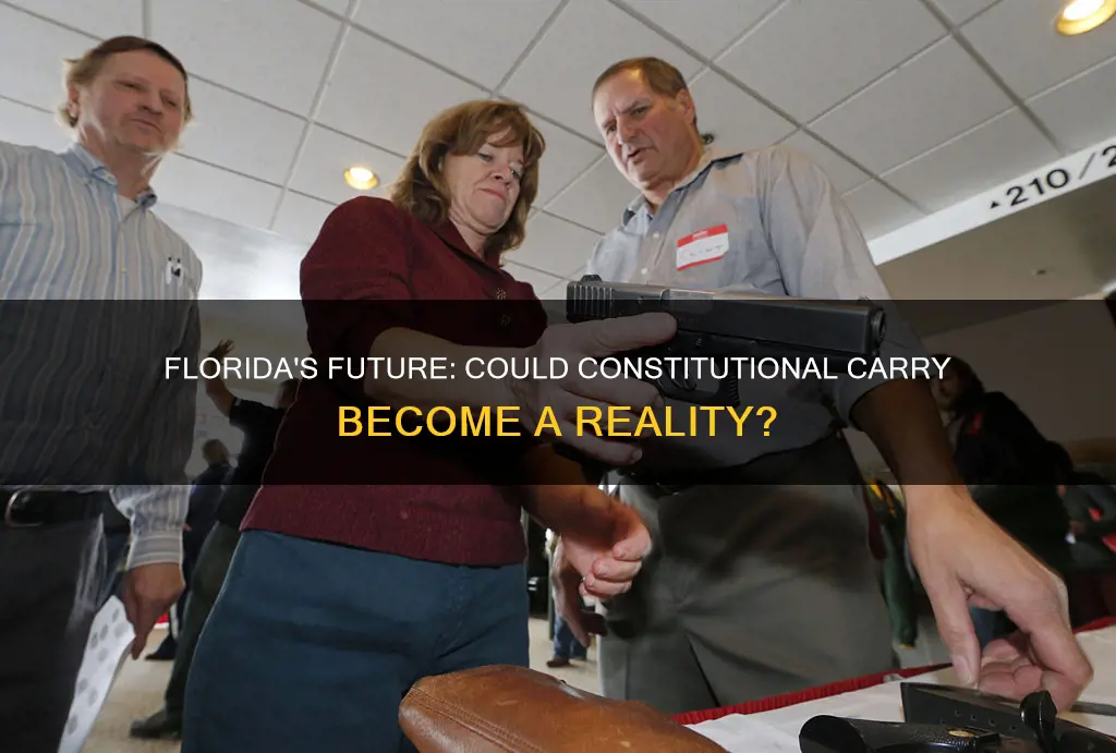 will there ever be constitutional carry in florida