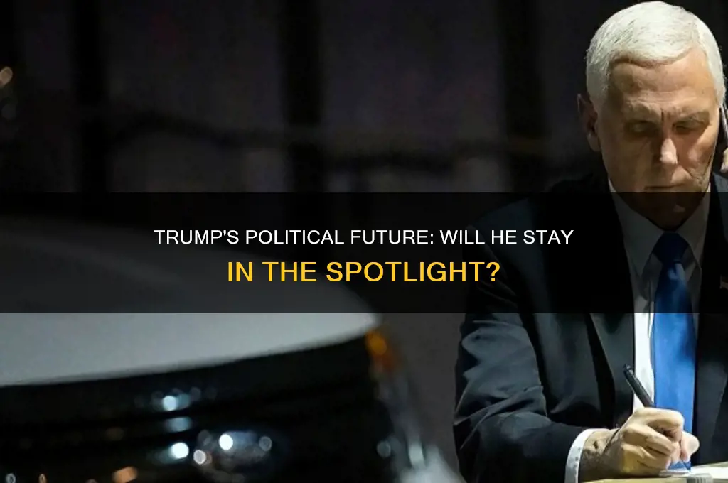 will trump remain in politics