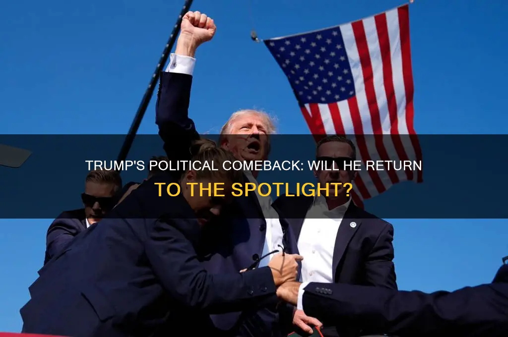 will trump return to politics