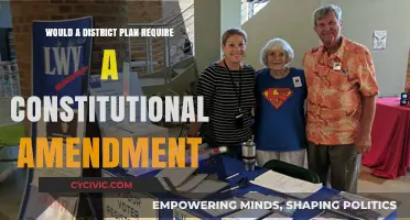 District Plans: Constitutional Amendments Required?