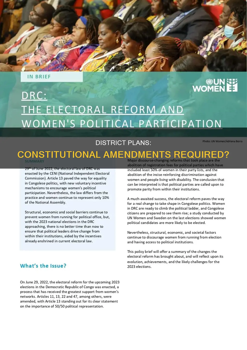 would a district plan require a constitutional amendment