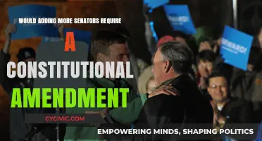 Expanding the Senate: Constitutional Amendment Needed?