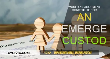 Custody Emergencies: When Arguments Lead to Legal Action