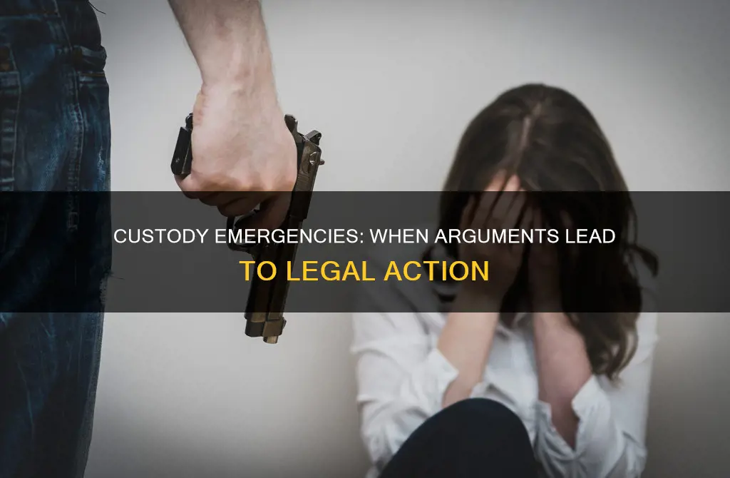 would an argument constitute for an emergency custody