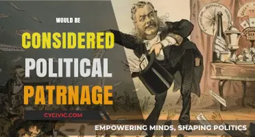 Understanding Political Patronage: Favoritism, Power, and Public Resources Explained