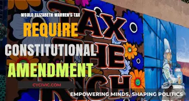 Warren's Tax Plan: Constitutional Amendment Needed?