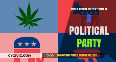 What to Expect from a Political Party's Platform: Key Elements