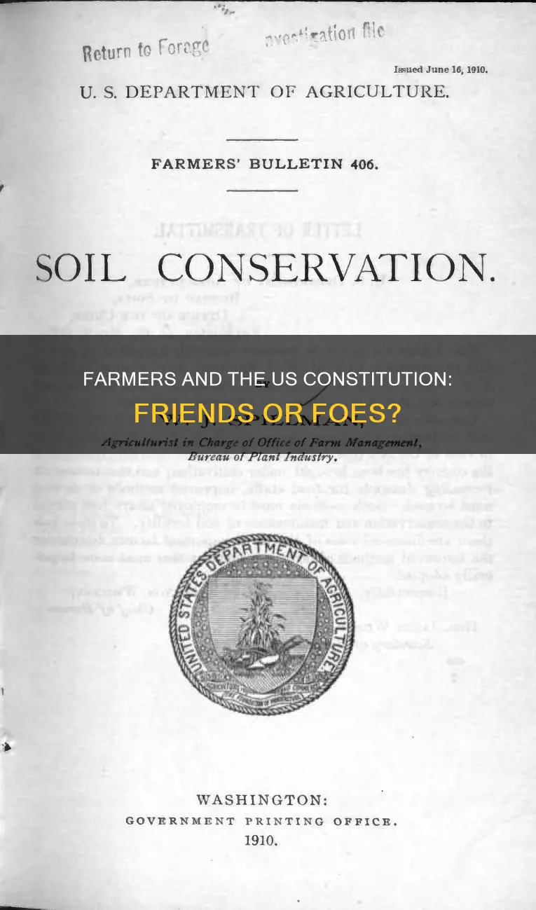 would farmers have been in favor of the us constitution