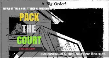 Court Packing: Constitutional Amendment Needed?