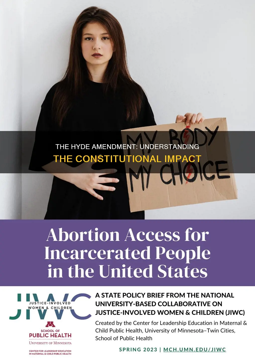 would like to read the hyde amendment of the constitution