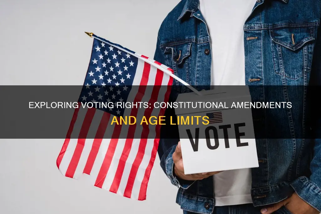 would lowering the right to vote require a constitutional amendment