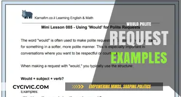 Mastering Polite Requests: Examples for Effective and Respectful Communication