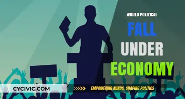 Does Politics Drive Economics? Exploring the Interplay Between Power and Wealth