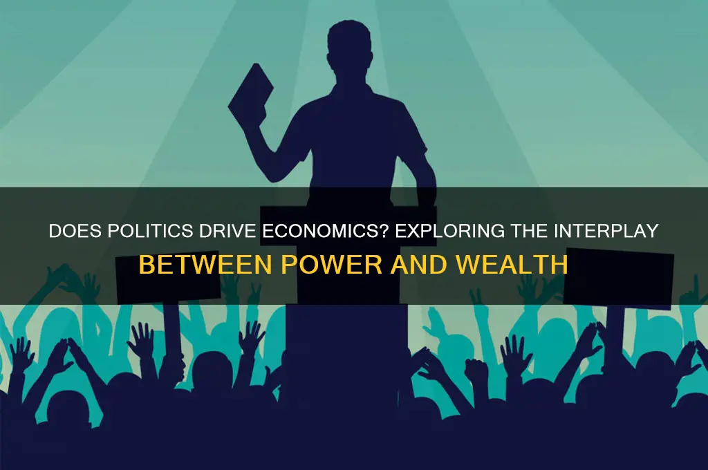 would political fall under economy