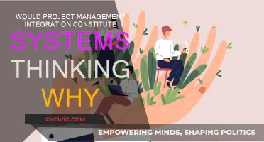 Project Management Integration: Systems Thinking for Success