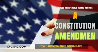 Rank Choice Voting: Constitutional Amendment Needed?