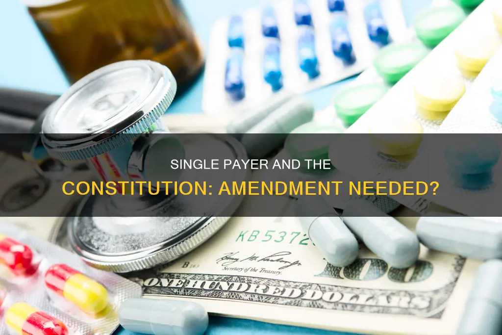 would single oayer require a constitutional amendment