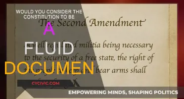 The Constitution: A Fluid Document?