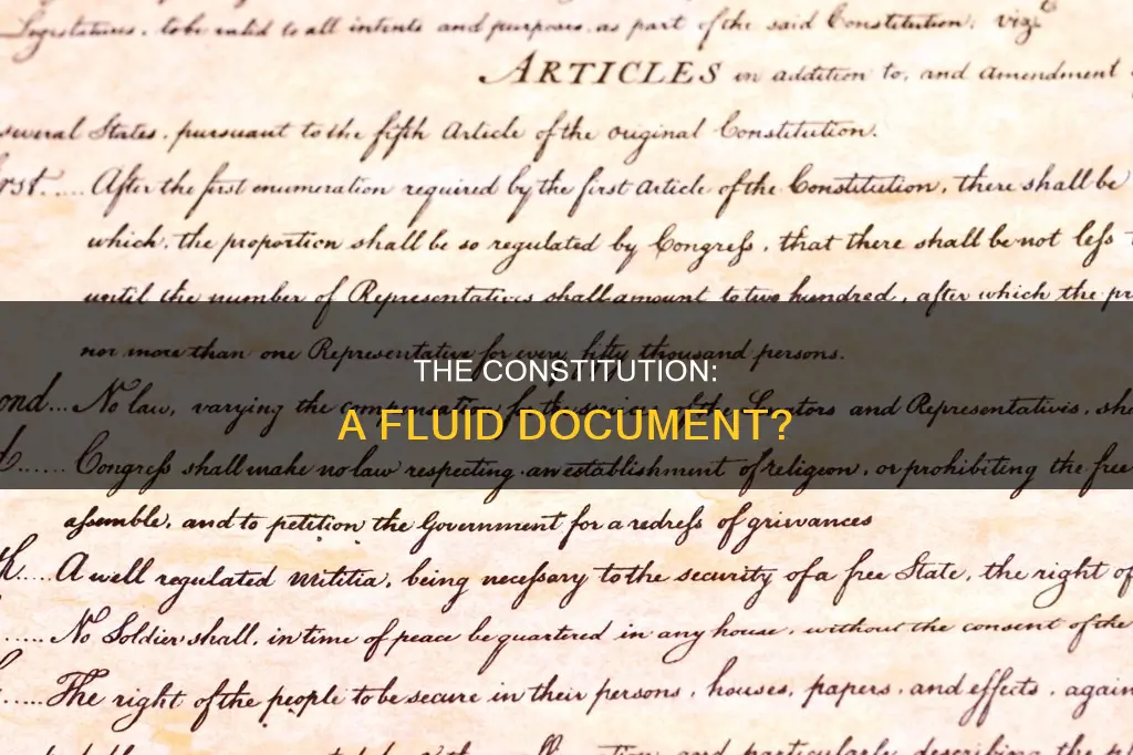 would you consider the constitution to be a fluid document