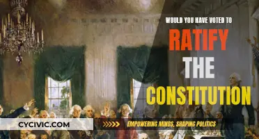 The Constitution: Would You Have Voted for Ratification?
