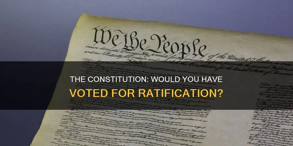 would you have voted to ratify the constitution
