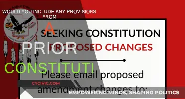 Revisiting Past Provisions for Future Constitutions