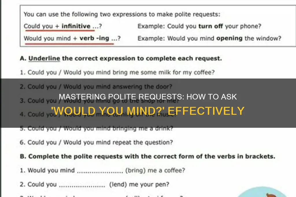 would you mind polite request