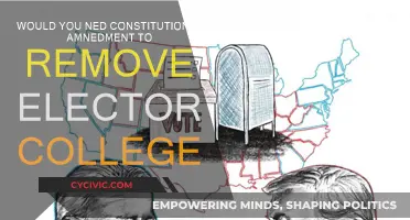 Electoral College: Amend Constitution or Scrap It?